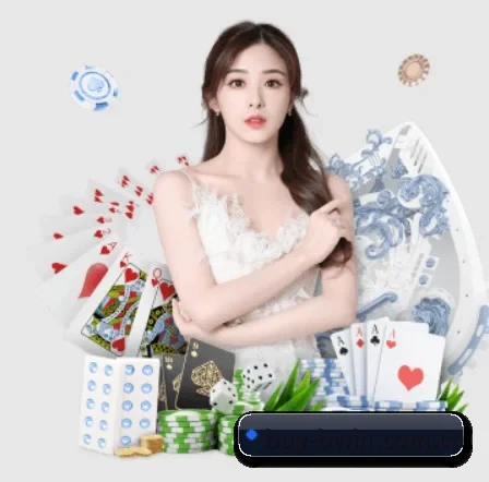 必赢体育登录 APP